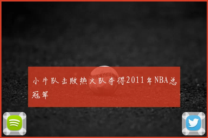 小牛队击败热火队夺得2011年NBA总冠军