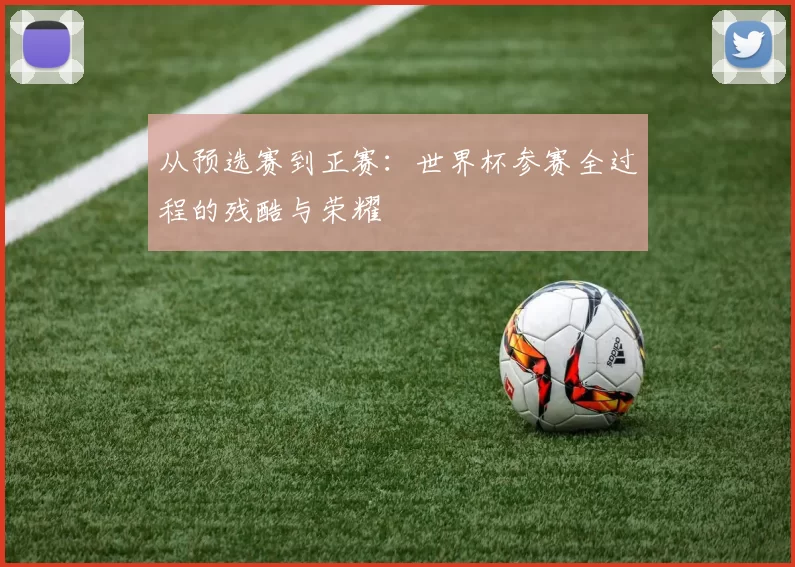 从预选赛到正赛：世界杯参赛全过程的残酷与荣耀