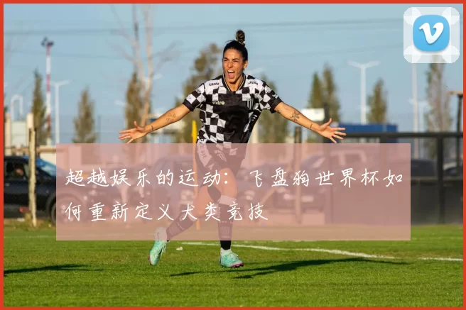 超越娱乐的运动:飞盘狗世界杯如何重新定义犬类竞技