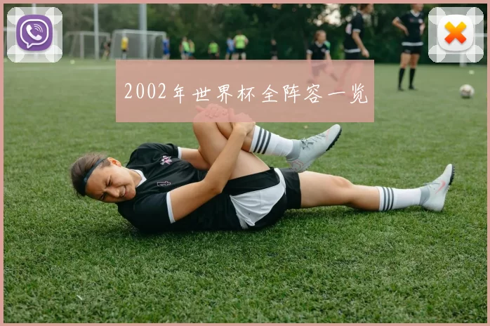 2002年世界杯全阵容一览