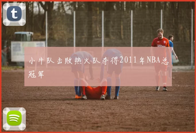 小牛队击败热火队夺得2011年NBA总冠军