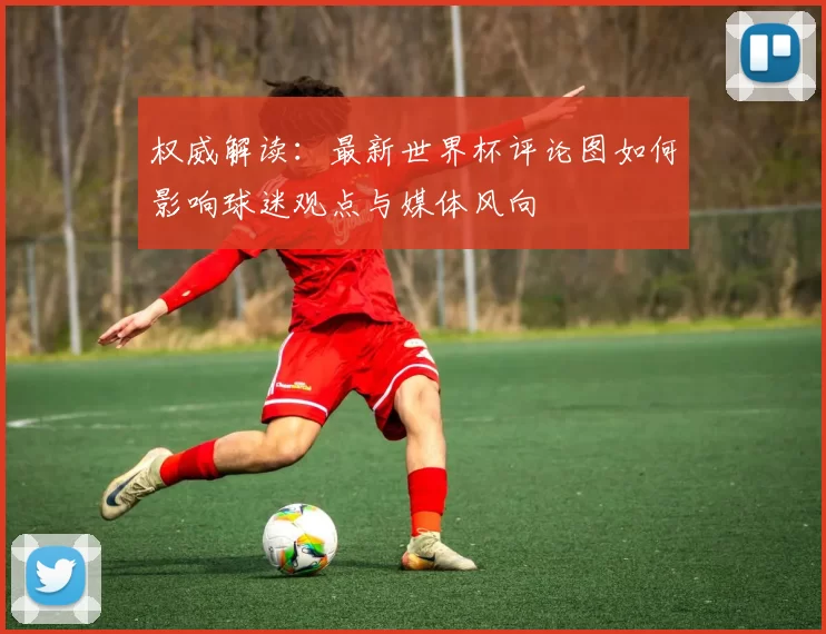 权威解读：最新世界杯评论图如何影响球迷观点与媒体风向
