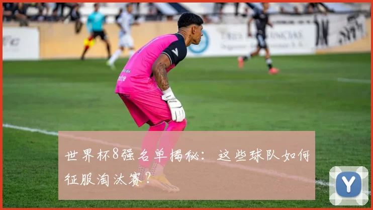 世界杯8强名单揭秘:这些球队如何征服淘汰赛?