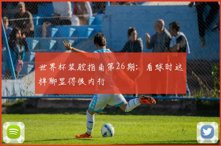 世界杯装腔指南第26期:看球时这样聊显得很内行