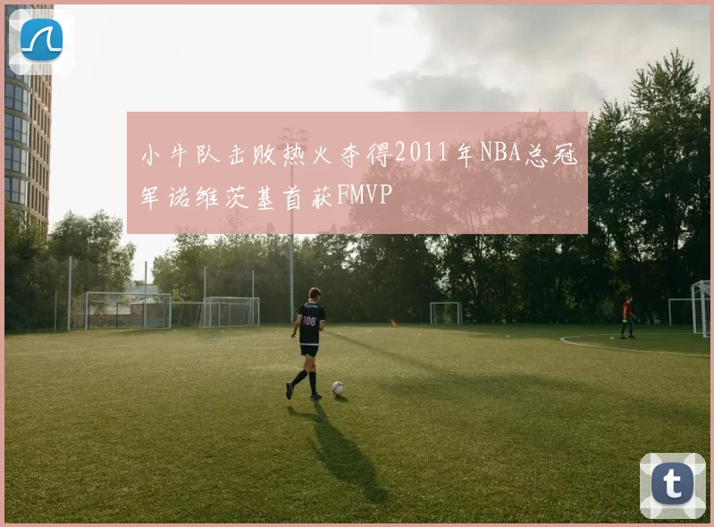 小牛队击败热火夺得2011年NBA总冠军诺维茨基首获FMVP