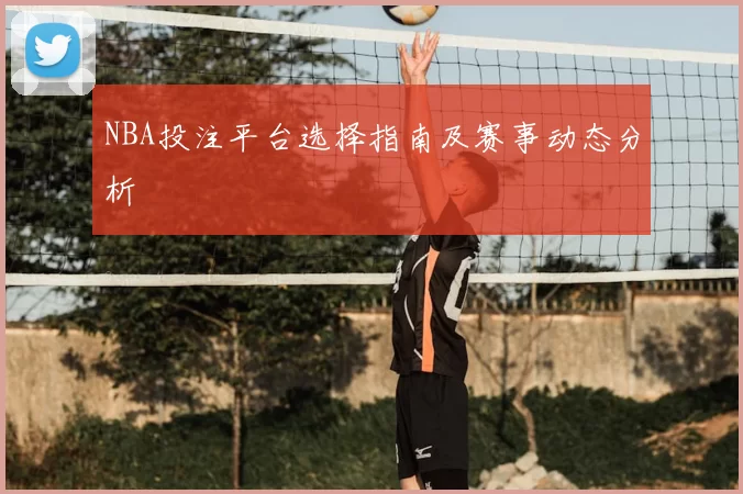 NBA投注平台选择指南及赛事动态分析