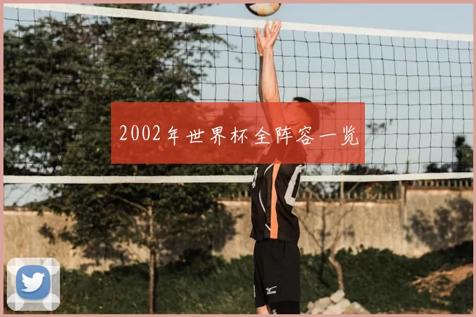 2002年世界杯全阵容一览